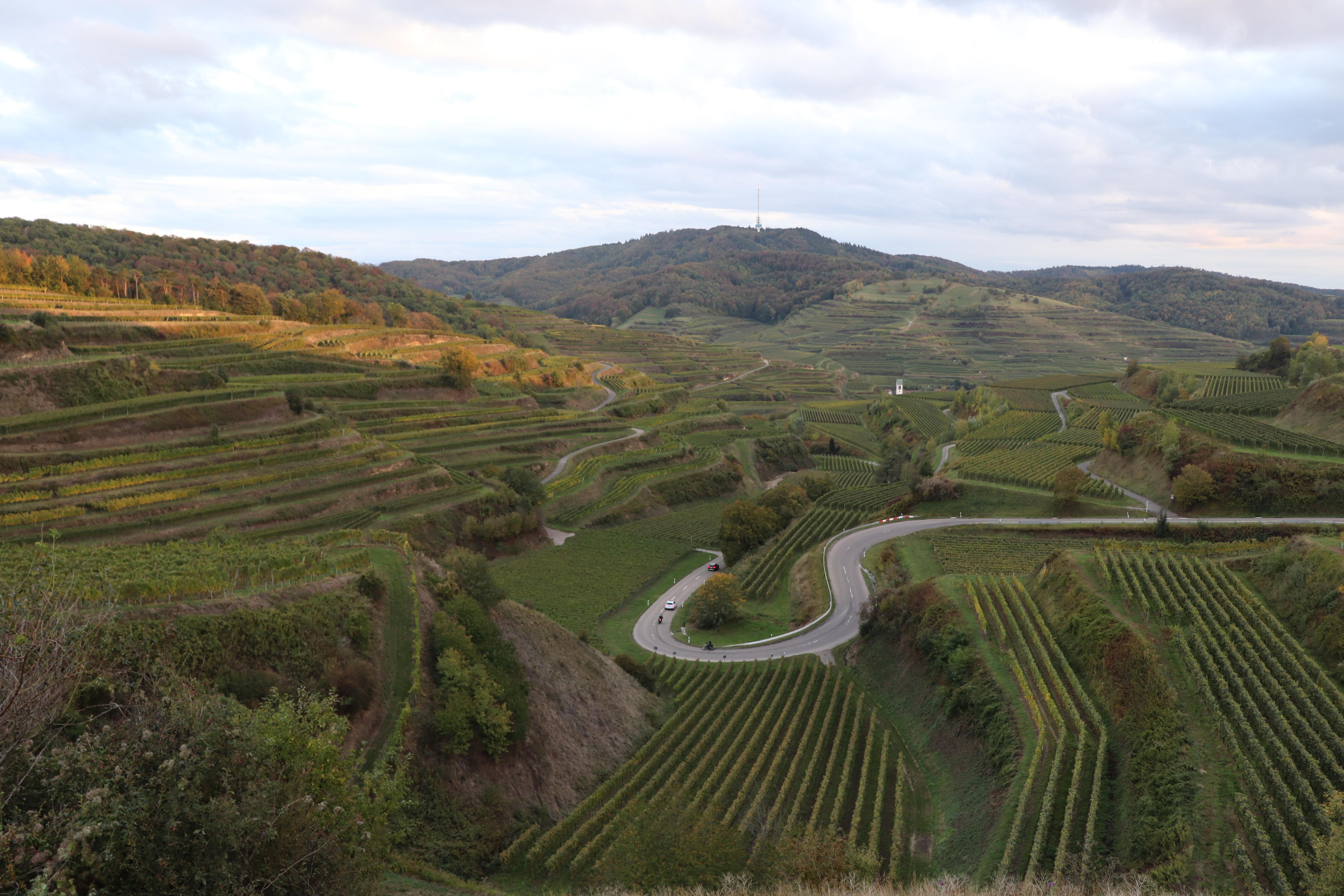 Achtung, anschnallen! Durch die engen Kurven kommt man nicht Eiltempo. Dafür hat man genügend Zeit den Ausblick zu genießen. 