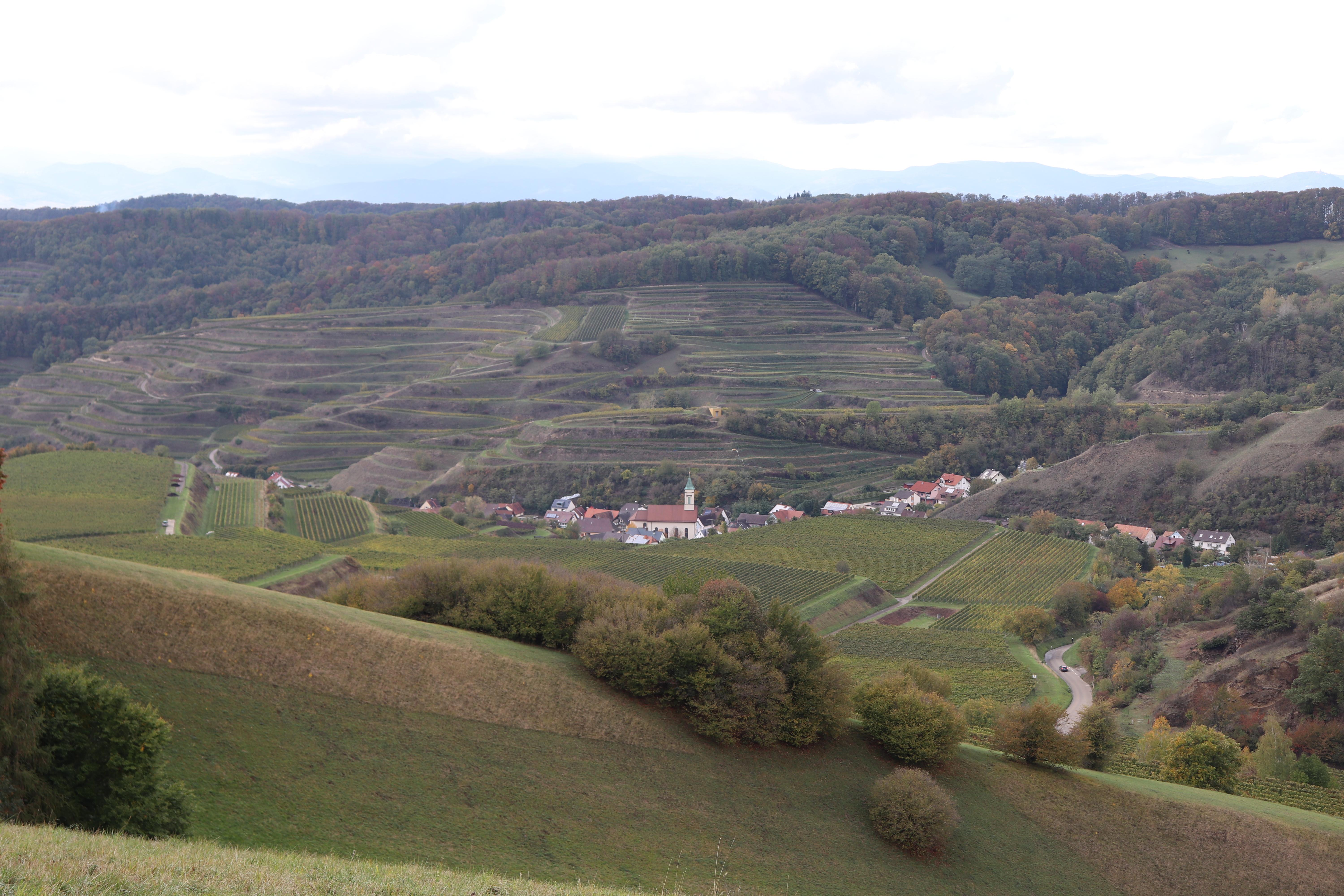 Die kleinen Dörfer, die im Kaiserstuhl verteilt liegen, sind nicht nur schön anzusehen. Gerade zur Erntezeit lohnt sich ein Besuch in einer der zahlreichen "Besenwirtschaften".