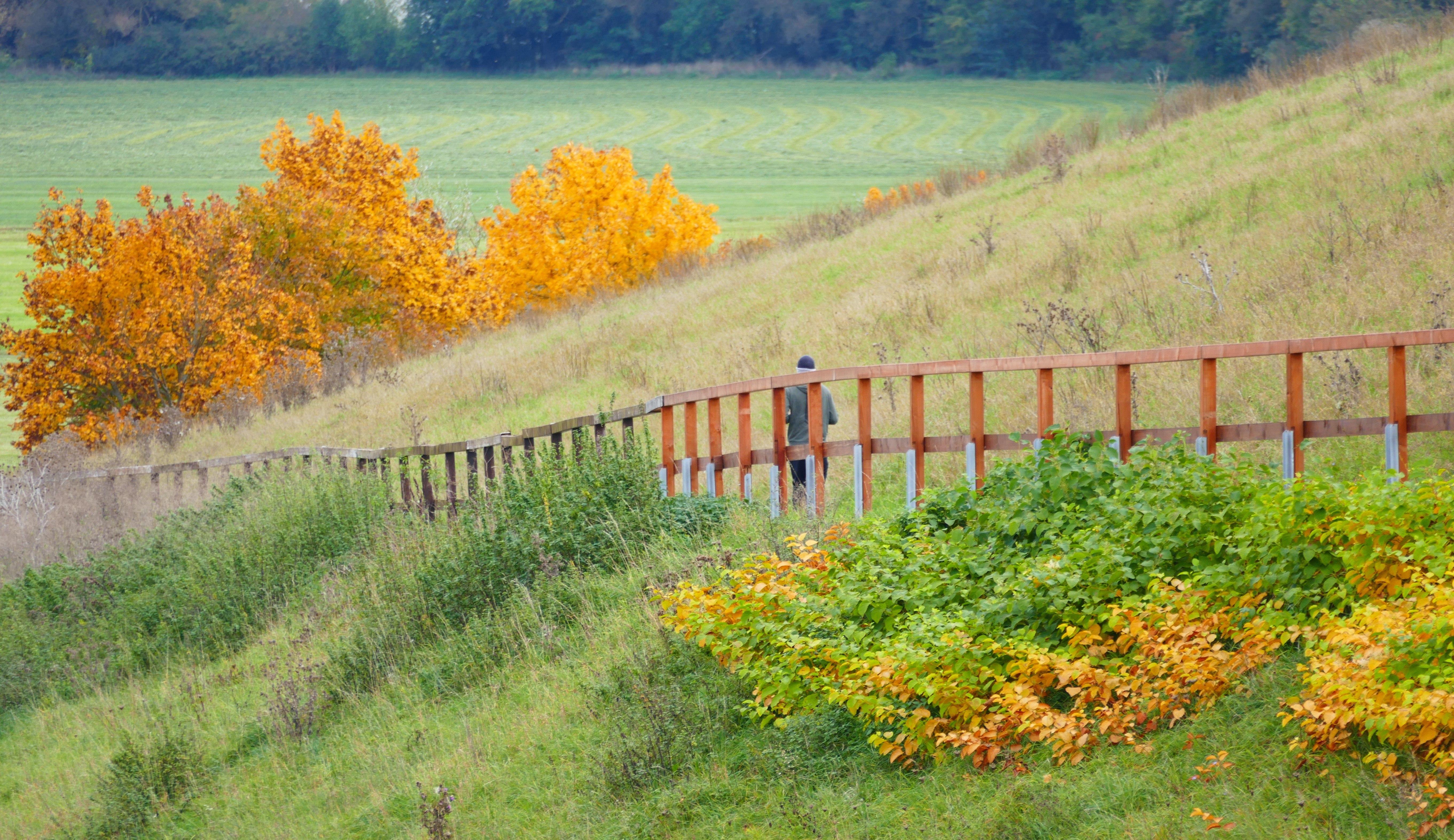 Berauschend bunt präsentiert sich die Natur rund um Atzenhof, Ritzmannshof und Vach