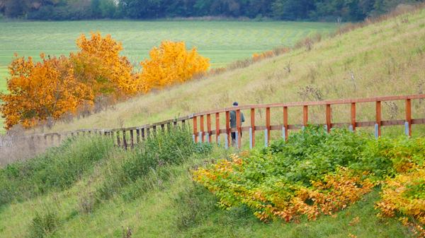 Berauschend bunt präsentiert sich die Natur rund um Atzenhof, Ritzmannshof und Vach