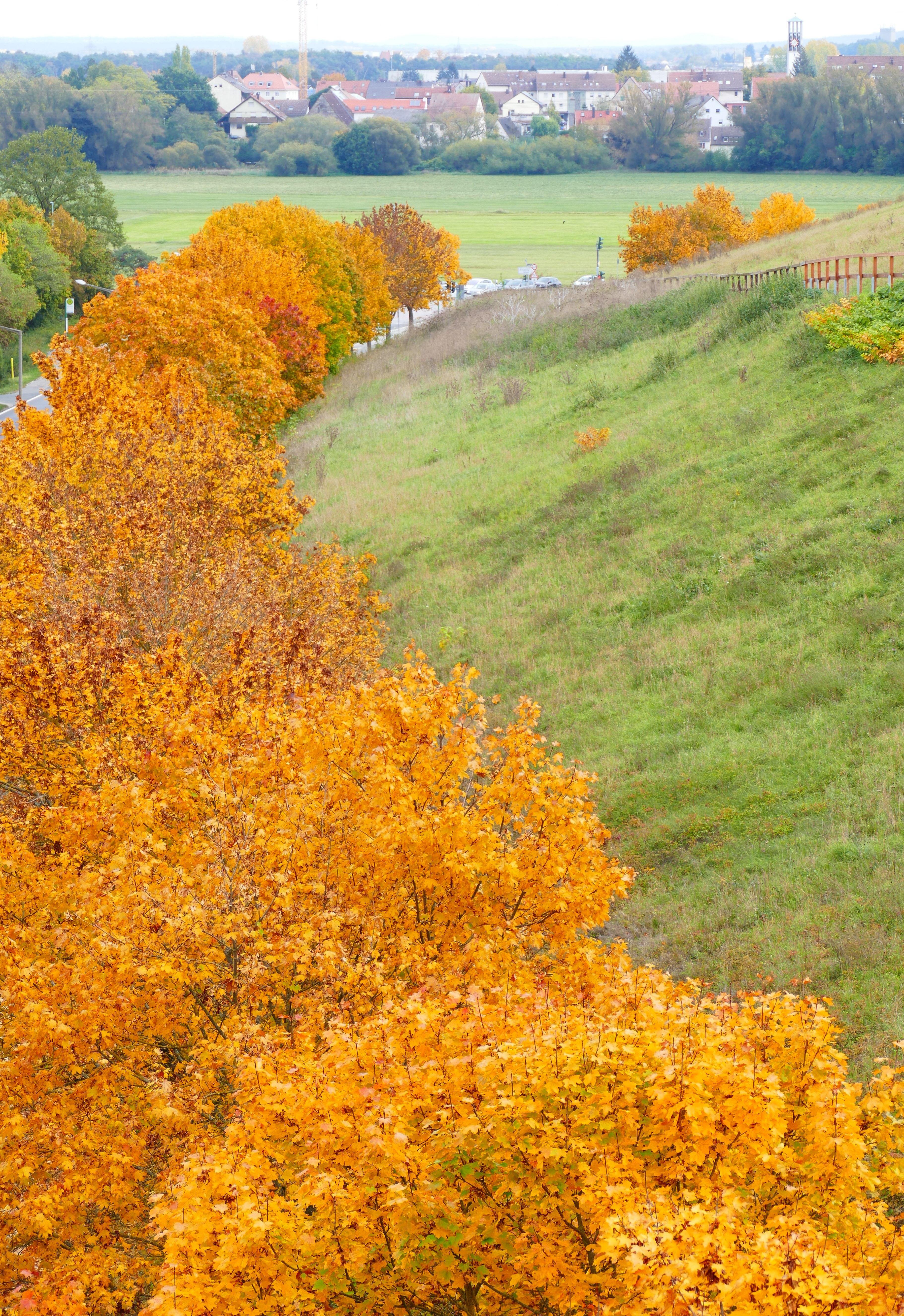 Berauschend bunt präsentiert sich die Natur rund um Atzenhof, Ritzmannshof und Vach