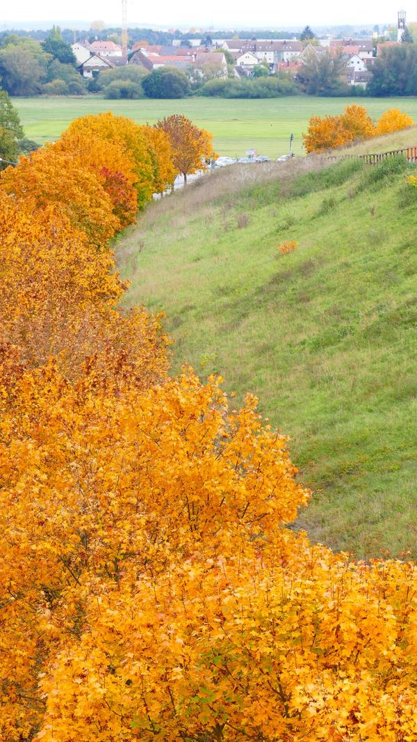 Berauschend bunt präsentiert sich die Natur rund um Atzenhof, Ritzmannshof und Vach