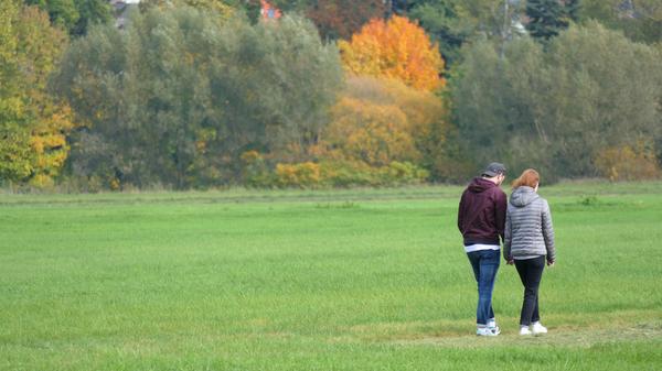 Berauschend bunt präsentiert sich die Natur rund um Atzenhof, Ritzmannshof und Vach