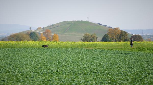 Berauschend bunt präsentiert sich die Natur rund um Atzenhof, Ritzmannshof und Vach