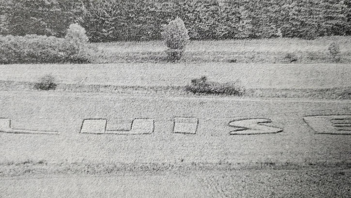 Mit Raps und Ackersenf malte Richard Zäh 1970 den Namen seiner Angebeteten Luise auf den Hang des Treuchtlinger Nagelbergs. Mit Raps und Ackersenf malte Richard Zäh 1970 den Namen seiner Angebeteten Luise auf den Hang des Treuchtlinger Nagelbergs.
