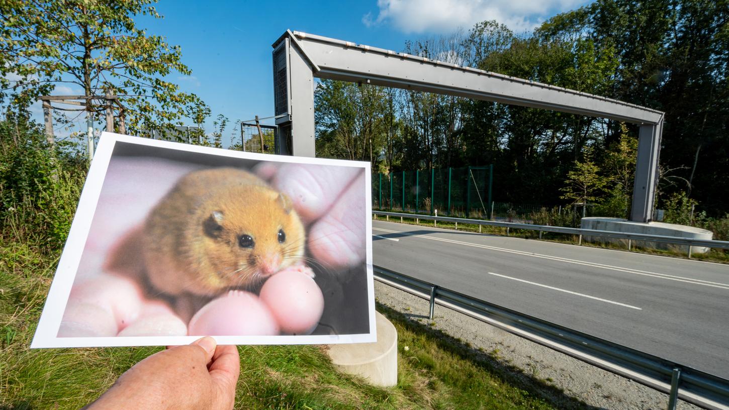 Wo in Bayern Steuergeld verschwendet wird