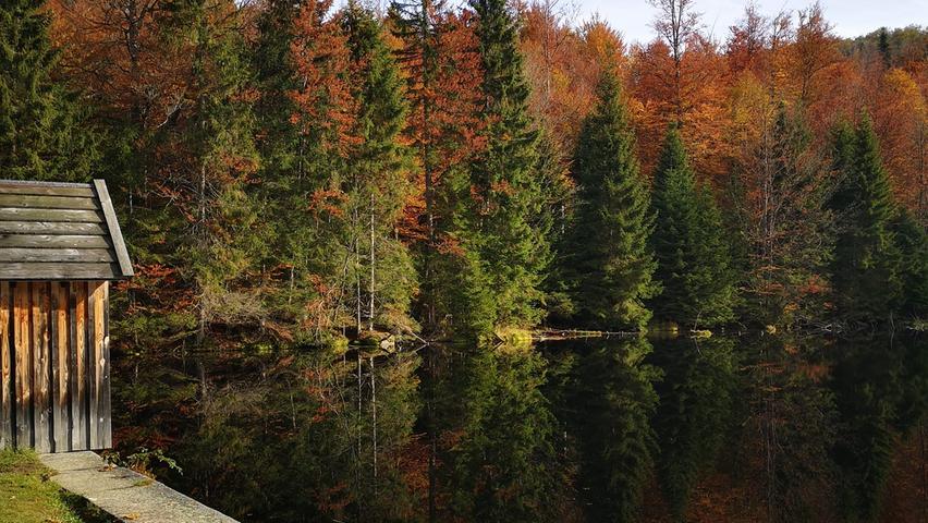 Goldener Oktober: Die schönsten Leserfotos aus dem Landkreis Roth