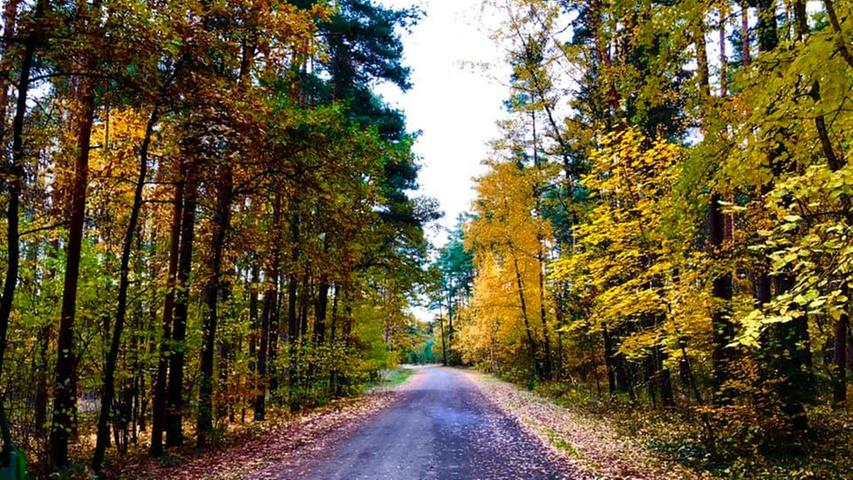 Goldener Oktober: Die schönsten Leserfotos aus dem Landkreis Roth