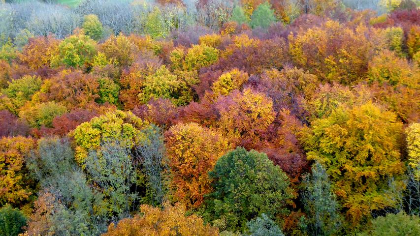 Von oben ins Tal fotografiert kann man vom Rodenstein aus die schönsten Herbstfarben bewundern. In wenigen Tagen wird diese Farbenpracht aber schon wieder vorbei sein.