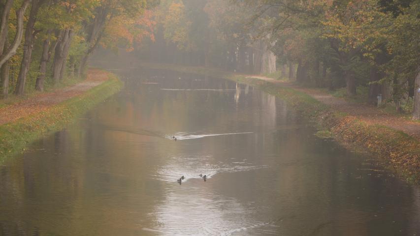 Der Alte Kanal lädt auch im Nebel zu einem erholsamen und inspirierenden Sparziergang ein. Hier kann man seinen Gedanken freien Lauf lassen oder auch nur die Natur genießen. 