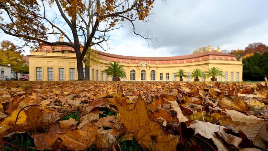 Buntes Farbenspiel: Herbst in Erlangen