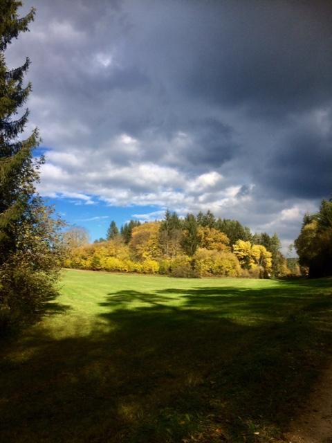 NN-Leserin Irene Renner hat das sonnige Wetter genutzt, um Herbstimpressionen in der Region einzufangen, hier die Laubfärbung bei Plech.