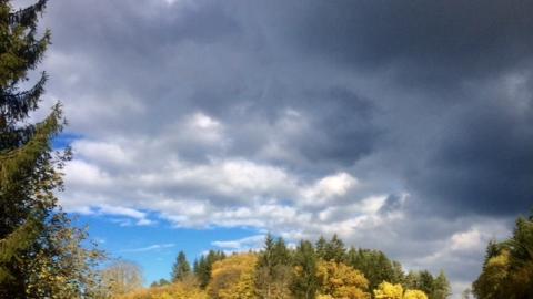 NN-Leserin Irene Renner hat das sonnige Wetter genutzt, um Herbstimpressionen in der Region einzufangen, hier die Laubfärbung bei Plech.