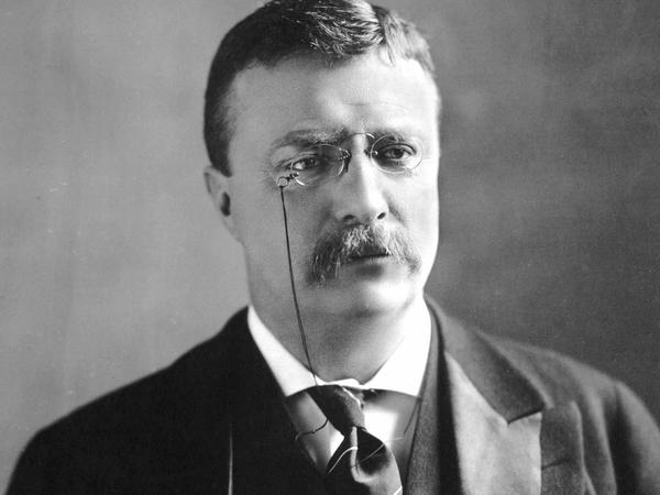 Ein Streiter für die Umwelt und gegen die Macht einzelner Konzerne: Theodore Roosevelt.