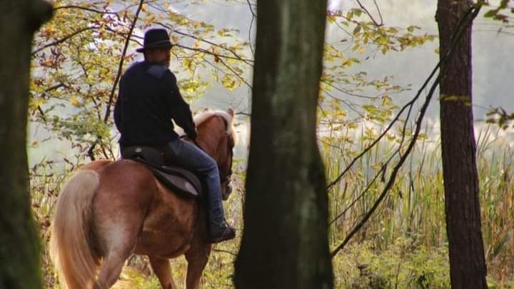 Im Galopp in den goldenen Herbst: Die schönsten Pferde-Bilder unserer User