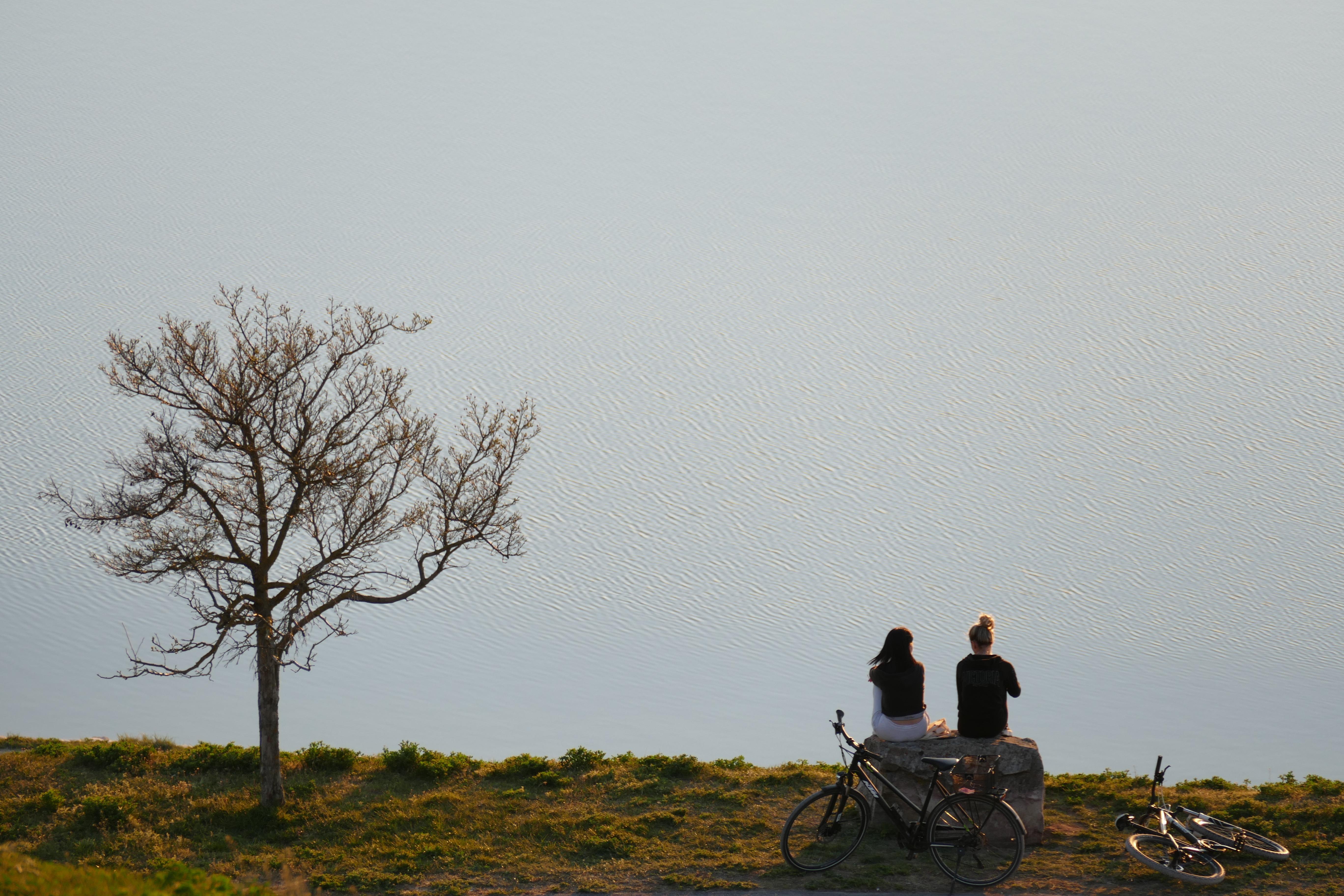 Am Main-Donau-Kanal unterhalb des Solarbergs