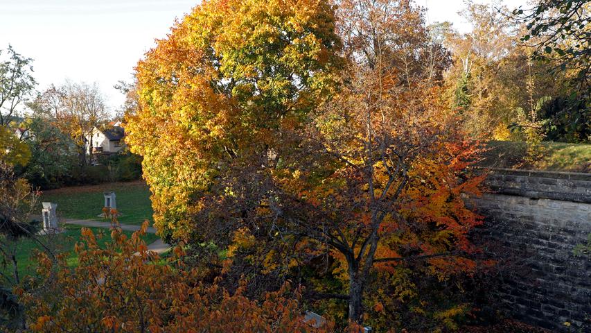 Gold, rot, braun: Herbstimpressionen aus Forchheim