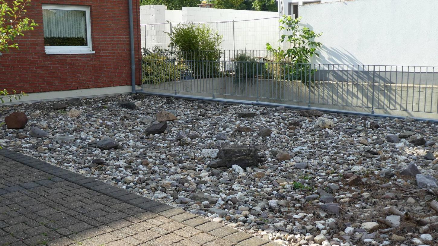 Die Grünen in Zirndorf fordern ein Verbot von Steingärten.