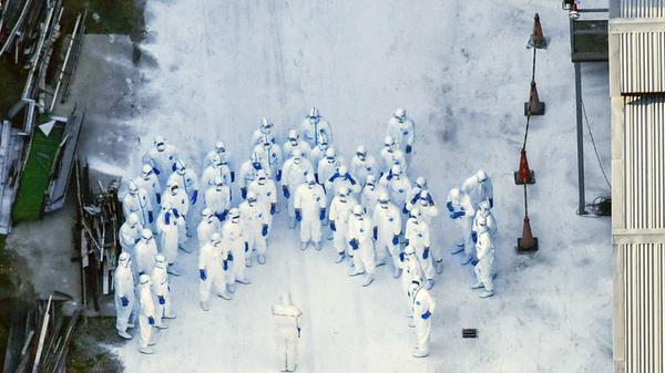 Auf einer Hühnerfarm ist der japanischen Präfektur Kagawa ist die Vogelgrippe ausgebrochen. Hunderttausende Tiere mussten getötet werden. Auf dem Foto sind Spezialkräfte in Schutzkleidung zu sehen.