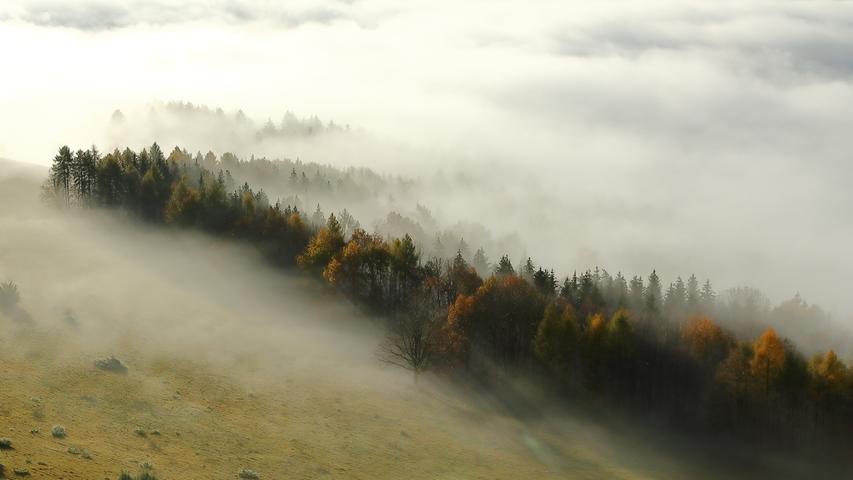 Die Nebeldecke am Hesselberg kriecht durch den Wald und die Sonne bringt mit den letzten Herbstfarben Farbtupfer ins Bild.