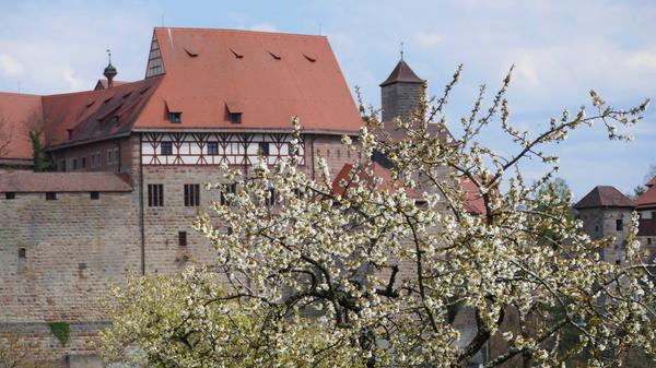 Malerisch präsentiert sich die Cadolzburg dem Betrachter, und das nicht nur im Frühjahr.