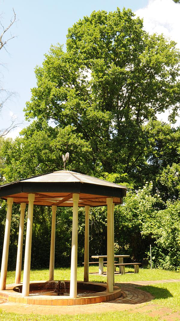 Eine überraschendes Idyll, weitab von der eigentlichen Südstadt: der Pavillon der "Gaggalas-Quelle" im Rednitzgrund unterhalb von Weikershof. Sie heißt wegen ihre Geruchs, der an faule Eier erinnert, so.