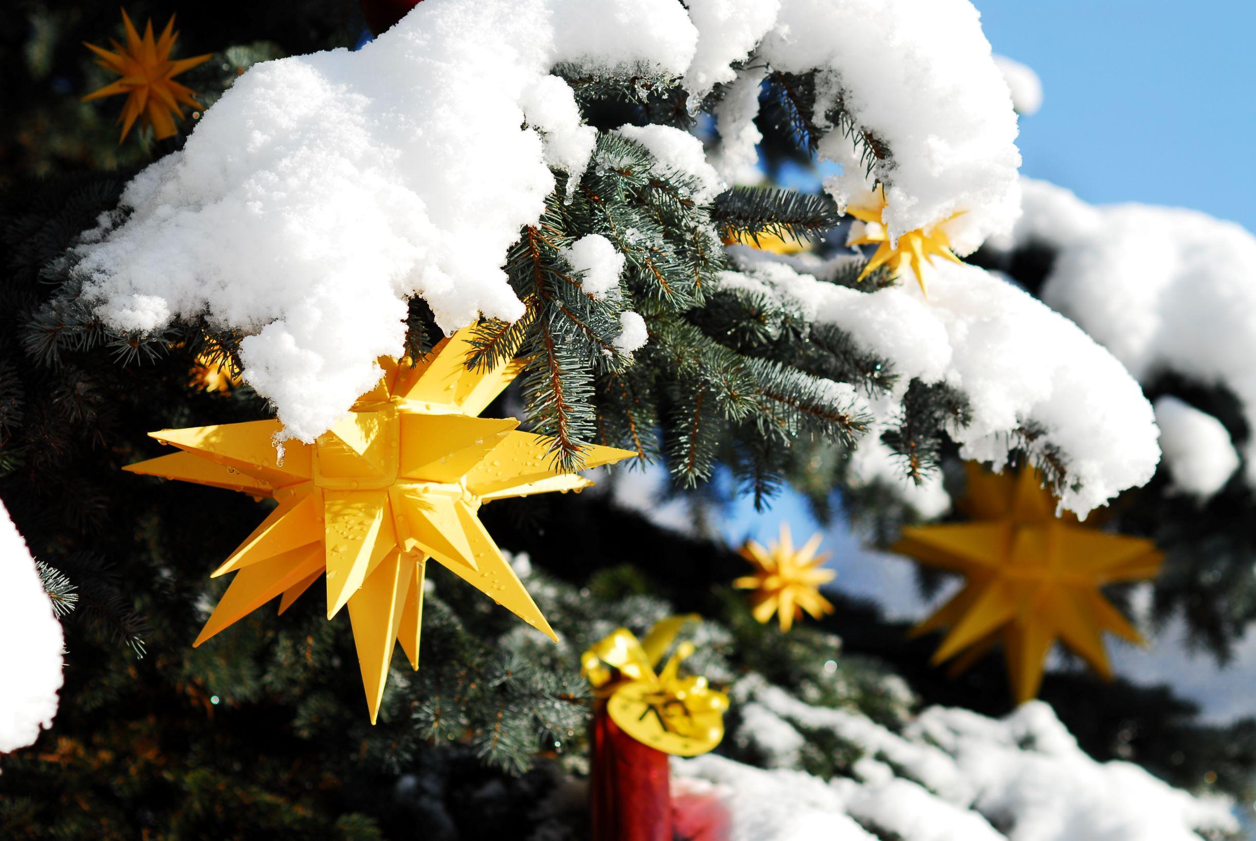Herrnhuter Sterne - Dekobilder