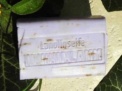 Uli Teich - Walhalla Lamm Uli Teich - Walhalla Lamm