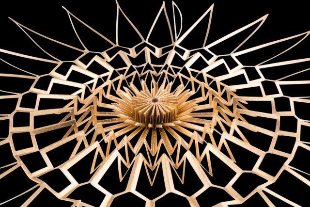 DWM Deutsche Weihnachtssterne Manufaktur e.K.