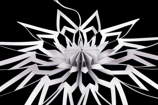 DWM Deutsche Weihnachtssterne Manufaktur e.K.