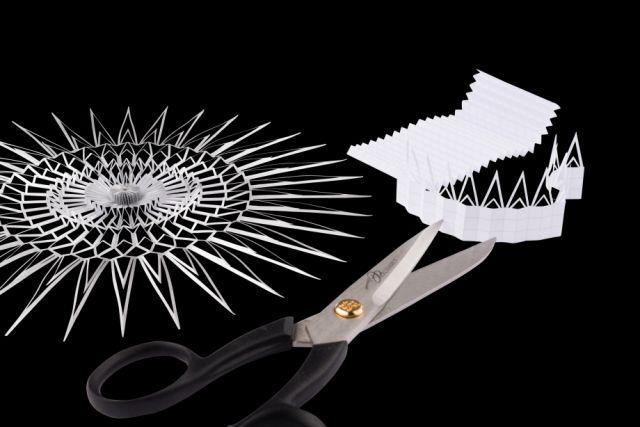 DWM Deutsche Weihnachtssterne Manufaktur e.K.