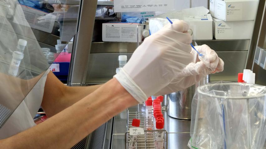 PCR-Tests für Schüler und Kita-Kinder: "Labor entstand dank einmaliger Allianz"