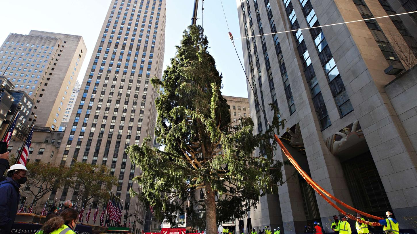 Trotz Corona Weltberühmter Weihnachtsbaum am Rockefeller Center steht Nordbayern Trotz Corona Weltberühmter Weihnachtsbaum am Rockefeller Center steht Nordbayern