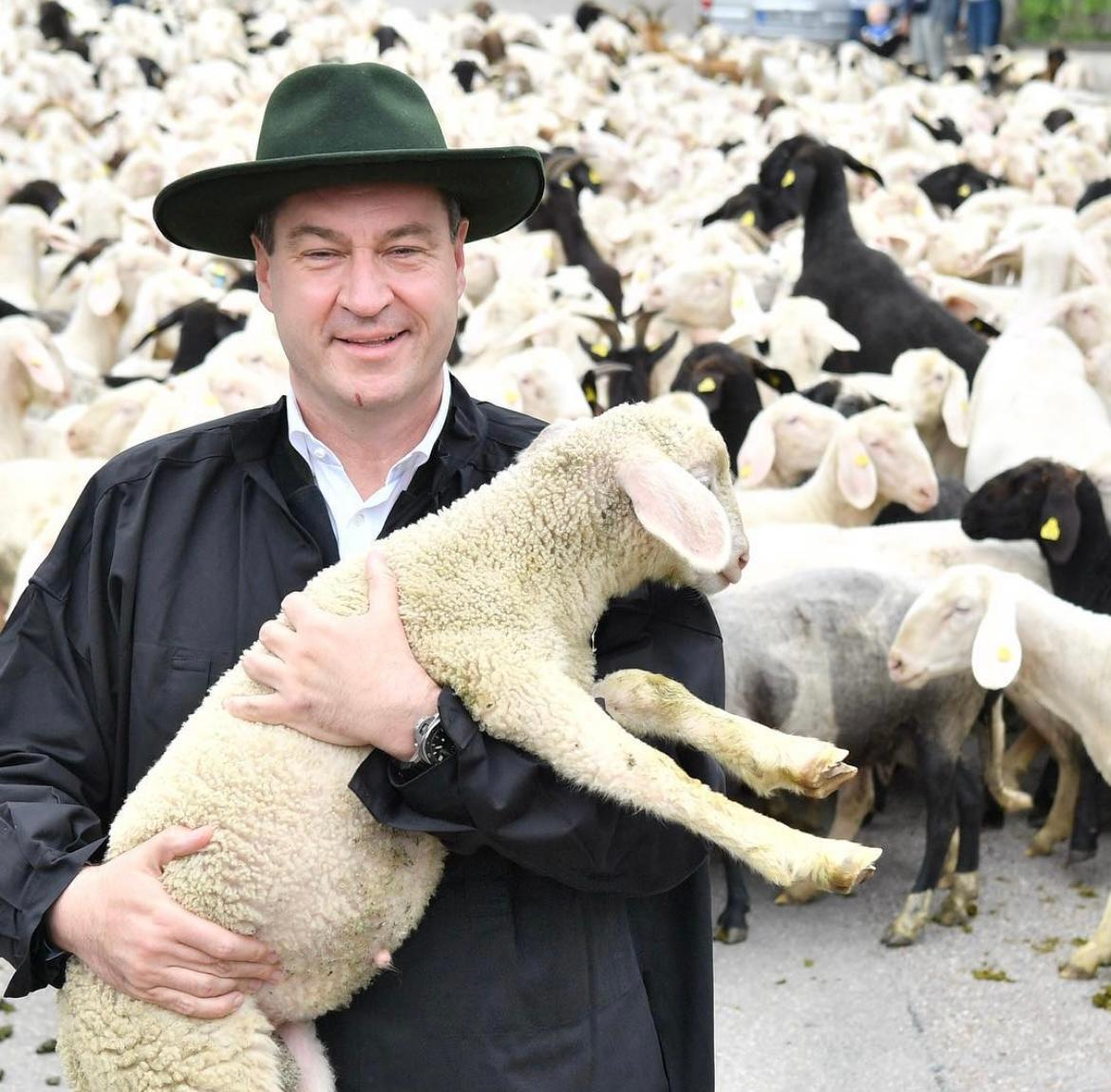 Der Ministerpräsident beim Lammauftrieb im Altmühltal 2018.