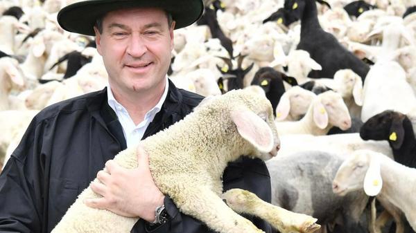 Der Ministerpräsident beim Lammauftrieb im Altmühltal 2018.