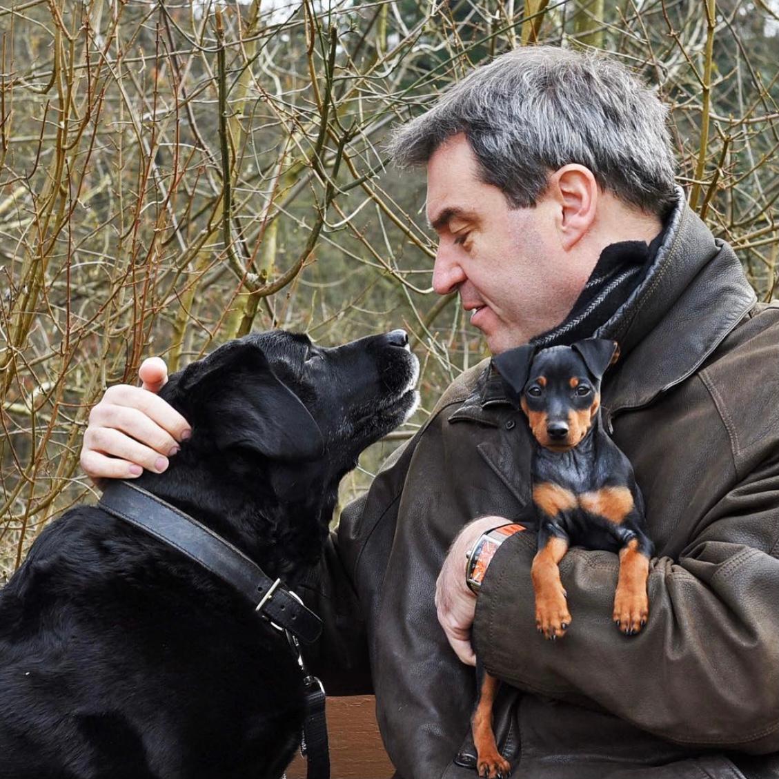 Söder 2016 mit seinen Hunden Fanny und Bella.