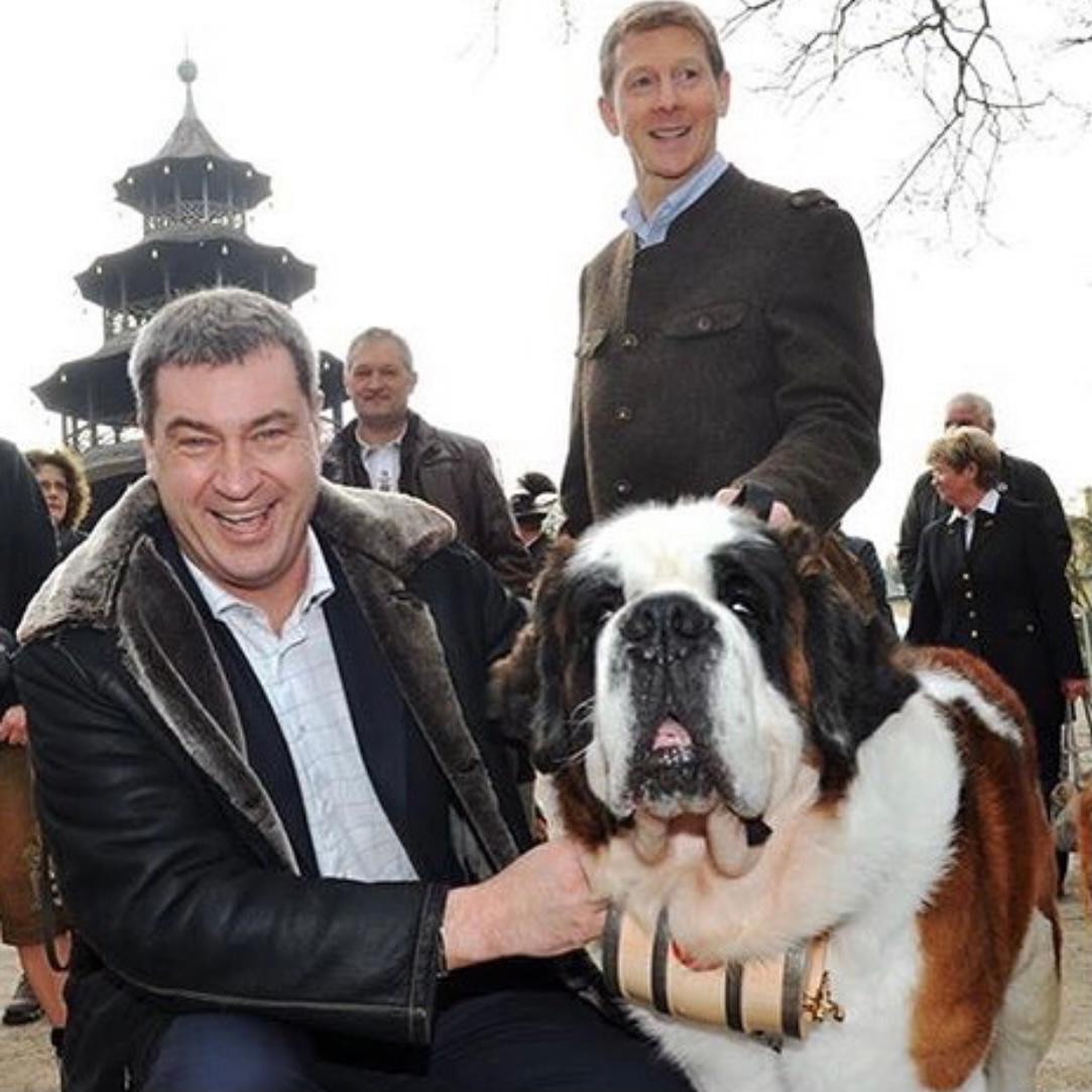 Hunde-Fan Söder mit einem Bernhardiner 2016.