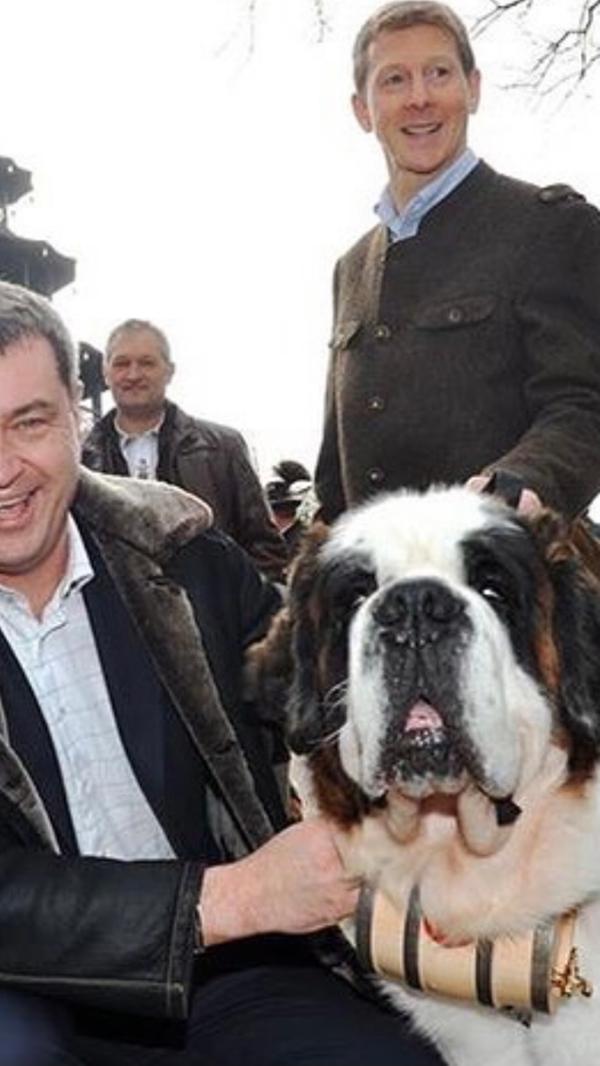 Hunde-Fan Söder mit einem Bernhardiner 2016.