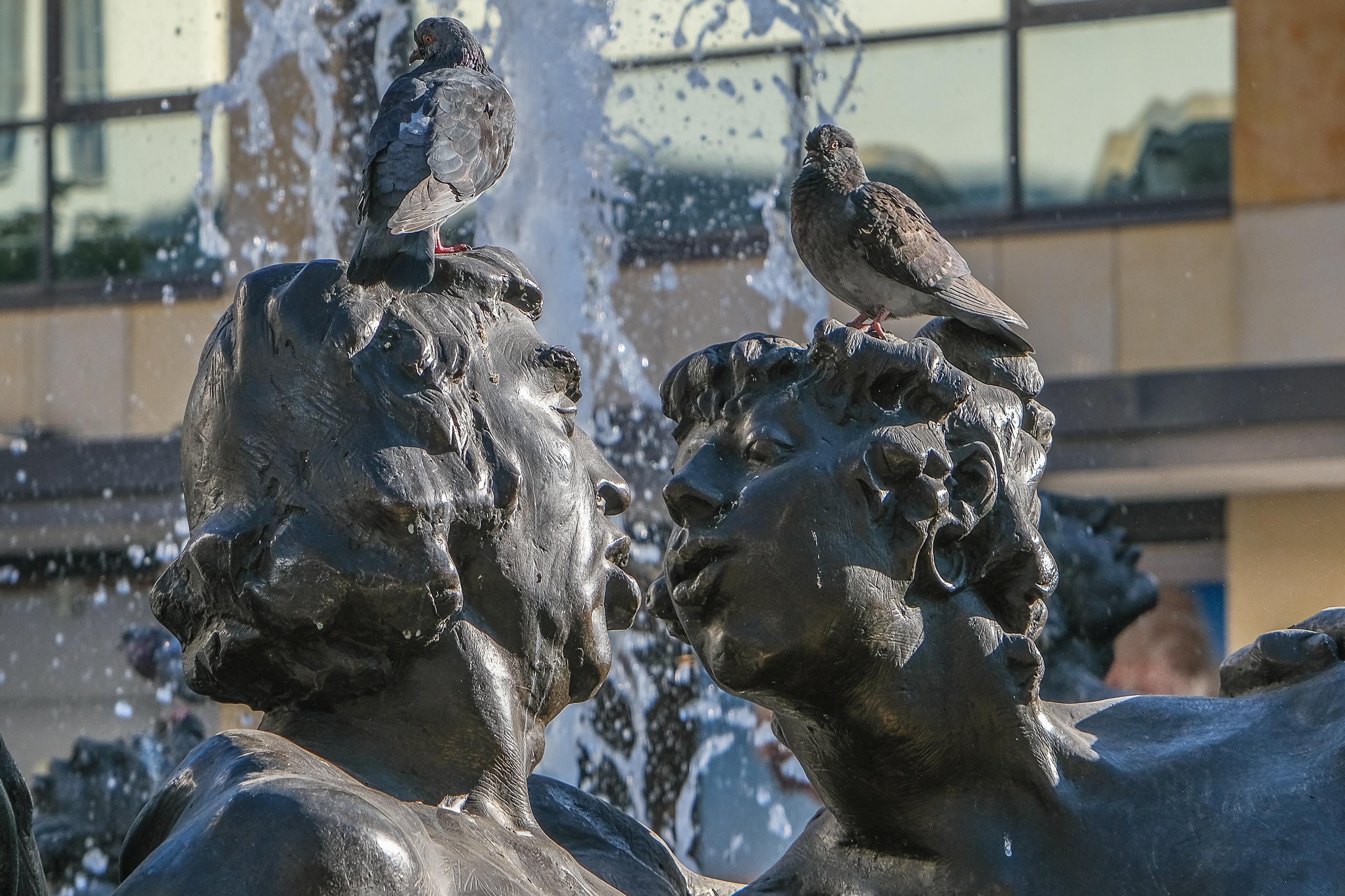 Frisch Verliebte oder Verheiratete sollten beim romantischen Flanieren durch die Innenstadt das Ehekarussell am Weißen Turm meiden. In eindrucksvollen Bildern ist dort das Gedicht "Das bittersüße eh'lich Leben" von Hans Sachs umgesetzt, welches das Auf an Ab eben dessen zeigt. Betrachtung des Brunnens auf eigene Gefahr.