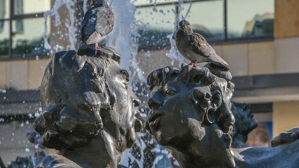 Frisch Verliebte oder Verheiratete sollten beim romantischen Flanieren durch die Innenstadt das Ehekarussell am Weißen Turm meiden. In eindrucksvollen Bildern ist dort das Gedicht "Das bittersüße eh'lich Leben" von Hans Sachs umgesetzt, welches das Auf an Ab eben dessen zeigt. Betrachtung des Brunnens auf eigene Gefahr.