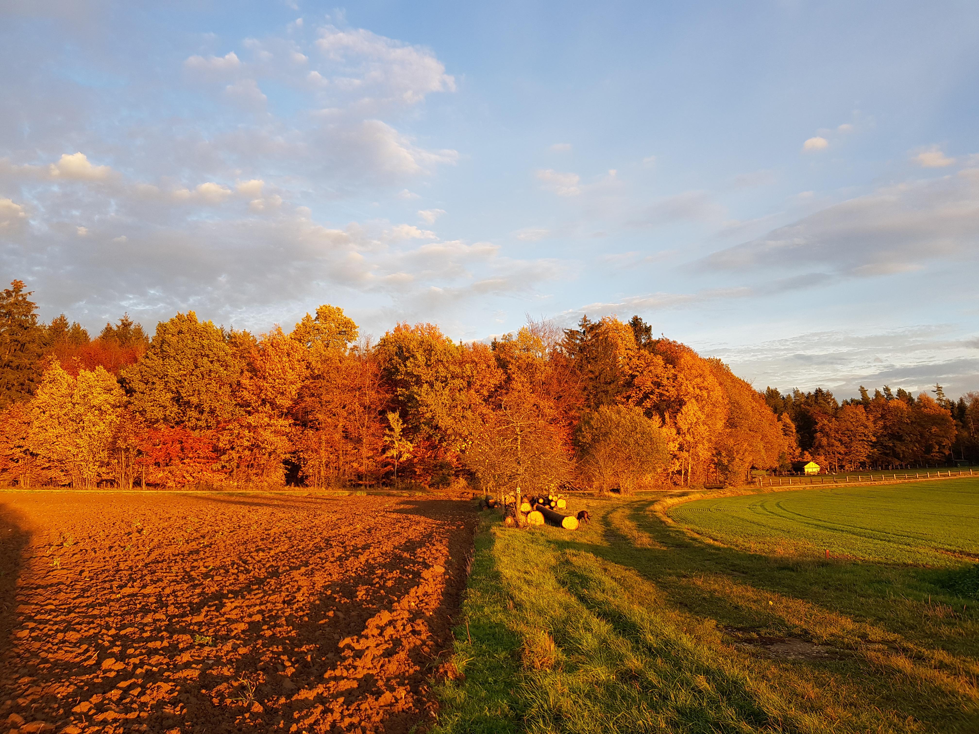 Dieses tolle Bild hat NN-Leser Herbert Windisch in der Nähe von Kemmathen eingefangen. Er hat es "Abendstimmung Rotes Holz" genannt, Rotes Holz ist eine offizielle Flurbezeichnung in Gräfenberg. 