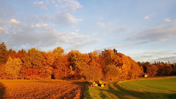 Dieses tolle Bild hat NN-Leser Herbert Windisch in der Nähe von Kemmathen eingefangen. Er hat es "Abendstimmung Rotes Holz" genannt, Rotes Holz ist eine offizielle Flurbezeichnung in Gräfenberg.
