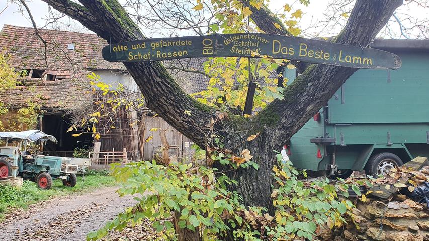 Der "Wildensteiner Schafhof" befindet sich in Steinhart, einem Ortsteil von Hainsfarth. Dort leben gefährdete und alte Schaf- sowie Ziegenrassen.