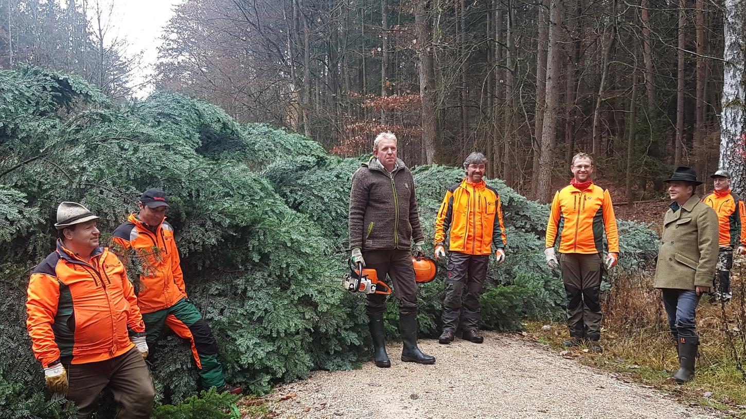 Selbst in der Landtagsabgeordnete: Volker Bauer (3.v.li.) griff zur Motorsäge und machte, unterstützt von Mitarbeitern des Allersberger Forstamtes, der 25 Jahre alten Weißtanne den Garaus. Heute tritt der Baum „seine letzte Fahrt“ an: Er wird der Weihnachtsbaum des Landtags.
Selbst in der Landtagsabgeordnete: Volker Bauer (3.v.li.) griff zur Motorsäge und machte, unterstützt von Mitarbeitern des Allersberger Forstamtes, der 25 Jahre alten Weißtanne den Garaus. Heute tritt der Baum „seine letzte Fahrt“ an: Er wird der Weihnachtsbaum des Landtags.