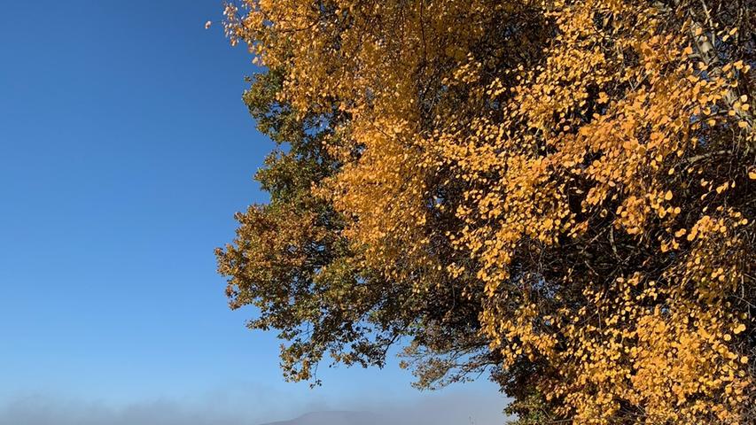 In den sich langsam auflösenden Nebelschwaden im Hintergrund ist bereits der Hesselberg zu erahnen, das von der Sonne beschienene gelbe Laub lässt die Szenerie in fast unwirklichem goldenen Licht erstrahlen.