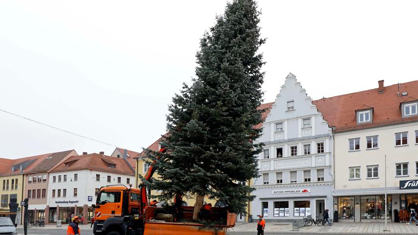 Weihnachtsbaum vor dem Rathaus steht
