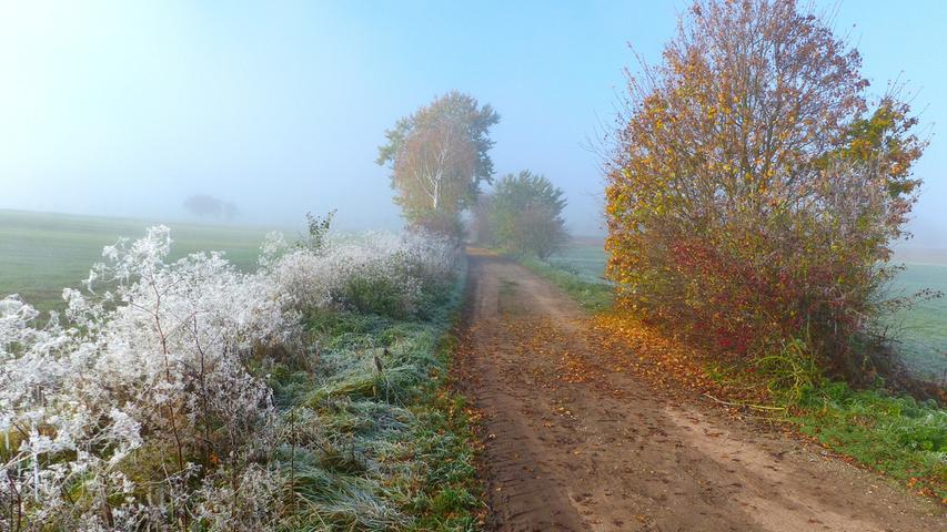 Zwischen Kriegenbrunn und Hüttendorf: Der Weg, so scheint es, trennt den Herbst und den Winter.