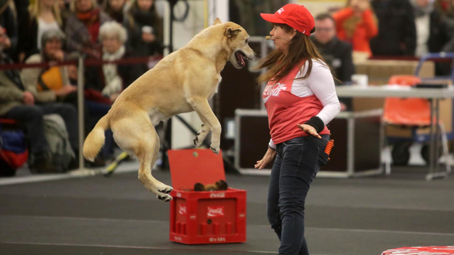 Auch Showeinlagen mit Hunden gehörten zur "Cacib". Auch Showeinlagen mit Hunden gehörten zur "Cacib".