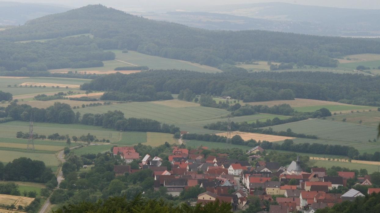 Klimawandel, Trockenheit und die Folgen sind auch im Gemeindewald von Eggolsheim zu sehen. Im Hintergrund der Schießberg oberhalb von Unterstürmig. Auch dort ist Käferholz zu entfernen. 