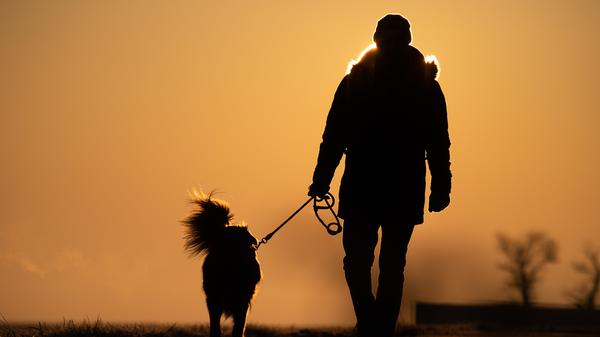 Hier verhält es sich ähnlich wie beim Sport. Aus zwei Haushälten dürfen sich Personen treffen. Spaziergänge und frische Luft seien aber natürlich gestattet und wichtig, so OB Marcus König - auch eine Pause auf der Parkbank darf eingelegt werden.